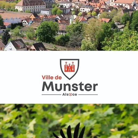 La Bourgogne En Alsace - Sejour Familial Munster (Haut-Rhin)