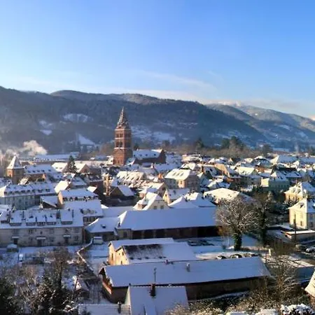 La Bourgogne En Alsace - Sejour Familial Chalet Munster (Haut-Rhin)