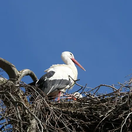 La Bourgogne En Alsace - Familial Munster (Haut-Rhin)