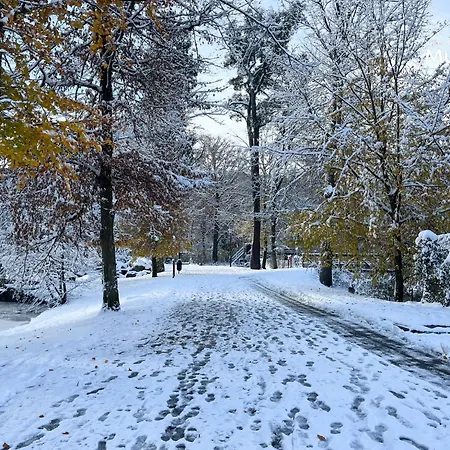La Bourgogne En Alsace - Sejour Familial Chalet *